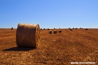 /album/landscapes/il-deserto-delle-balle-jpg1/
